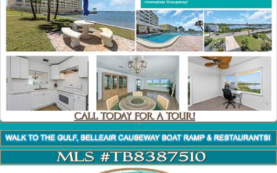Breathtaking Waterview! $275,000 – Belleair Bluffs