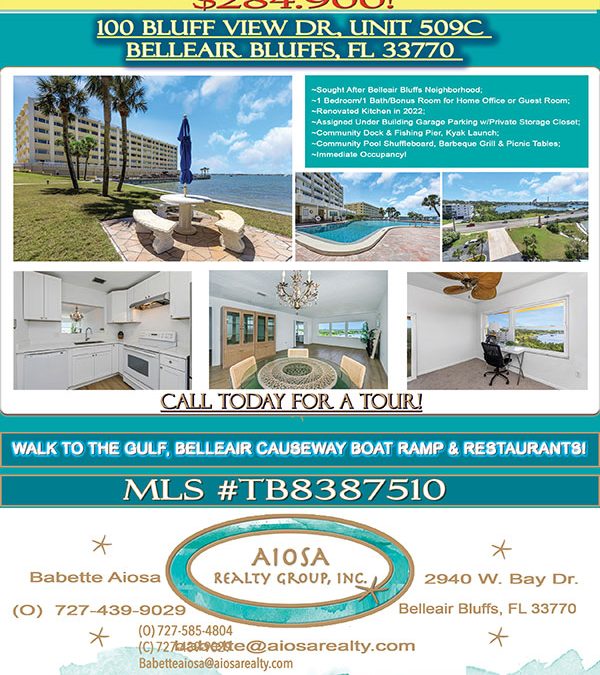 Breathtaking Waterview! $275,000 – Belleair Bluffs